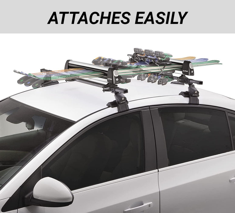 DS-66 Immortal Deluxe Porte-skis et snowboards Argent/noir